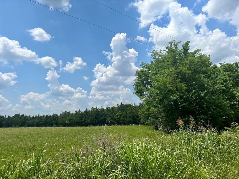 3442 COUNTY ROAD 15100 Blossom, TX 75416