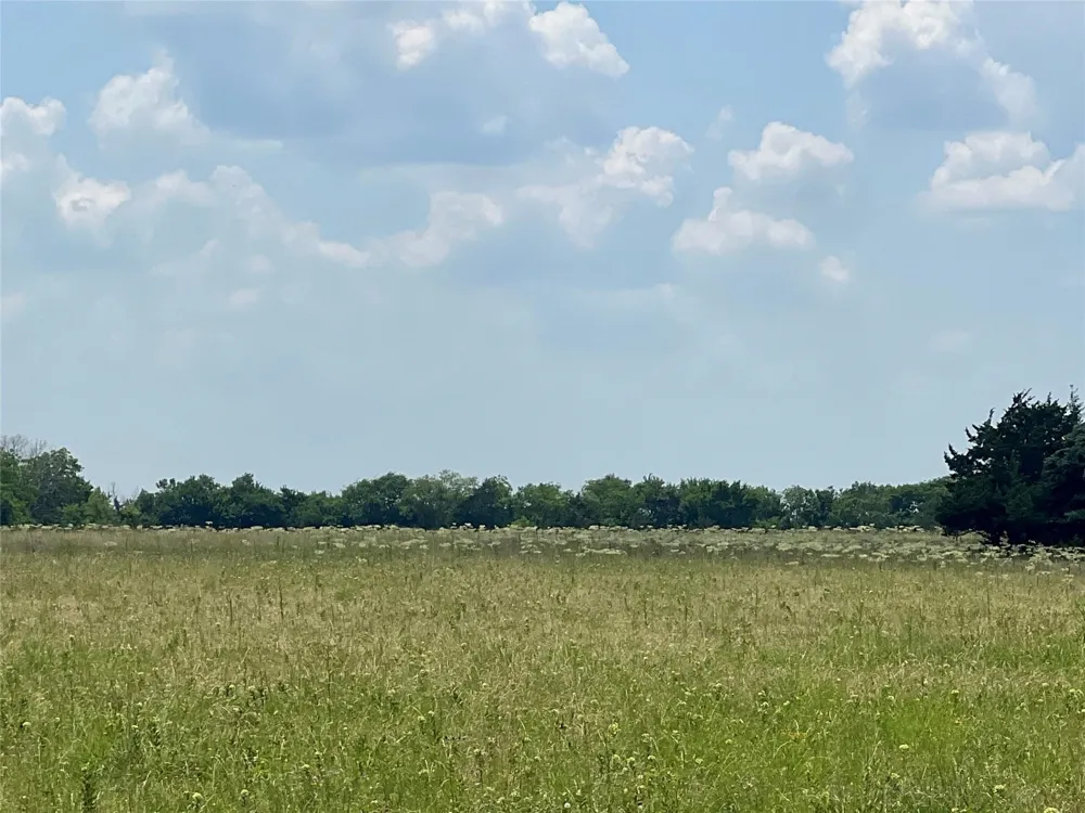 3442 COUNTY ROAD 15100 Blossom, TX 75416