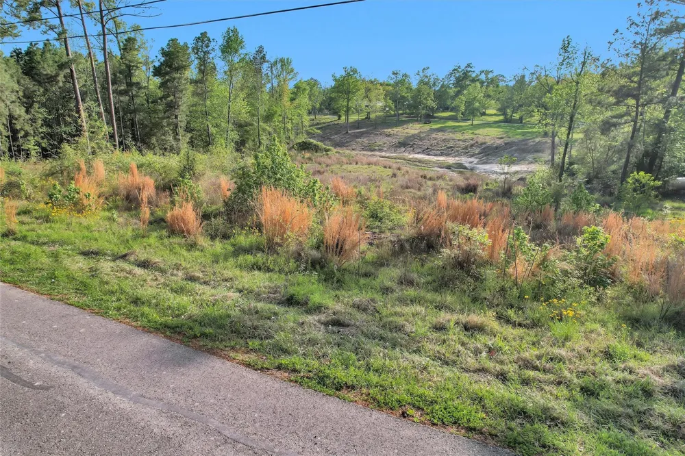 8 Lake Shore Lane Huntsville, TX 77320