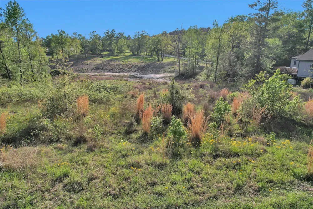 8 Lake Shore Lane Huntsville, TX 77320