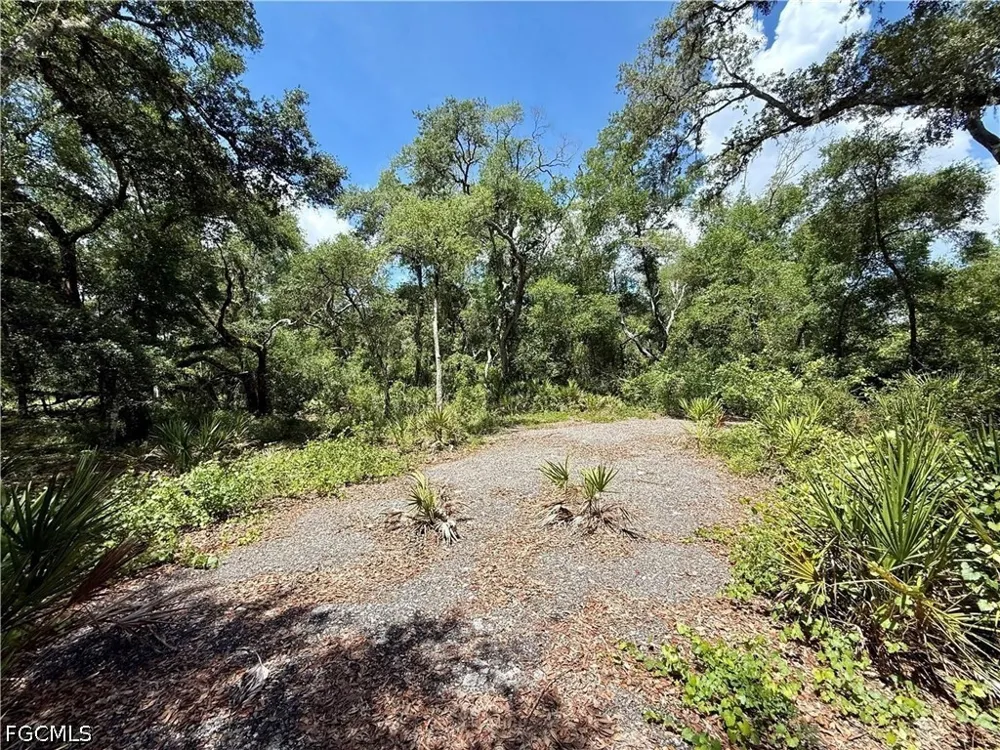 Long Circle Webster, FL 33597