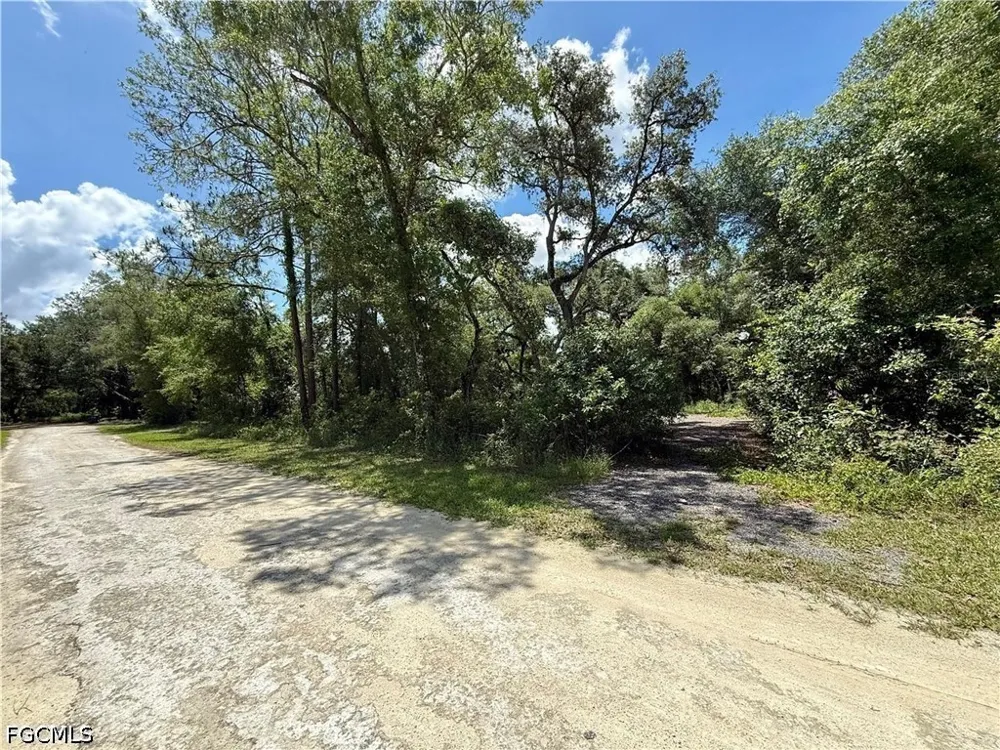 Long Circle Webster, FL 33597