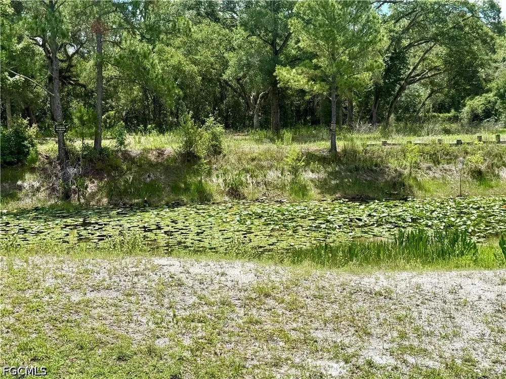 Long Circle Webster, FL 33597