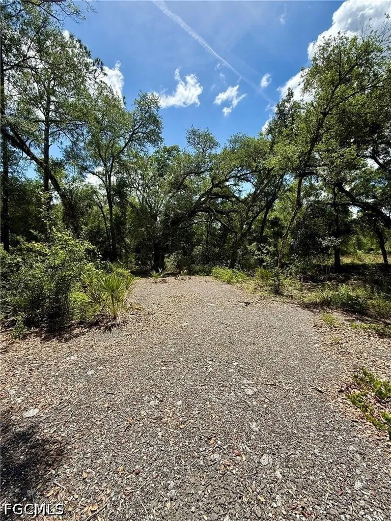 Long Circle Webster, FL 33597
