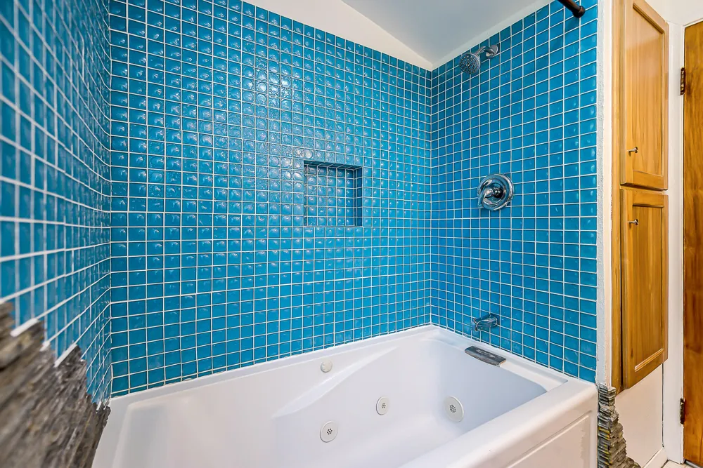 203 Doty Avenue Ann Arbor, MI 48103