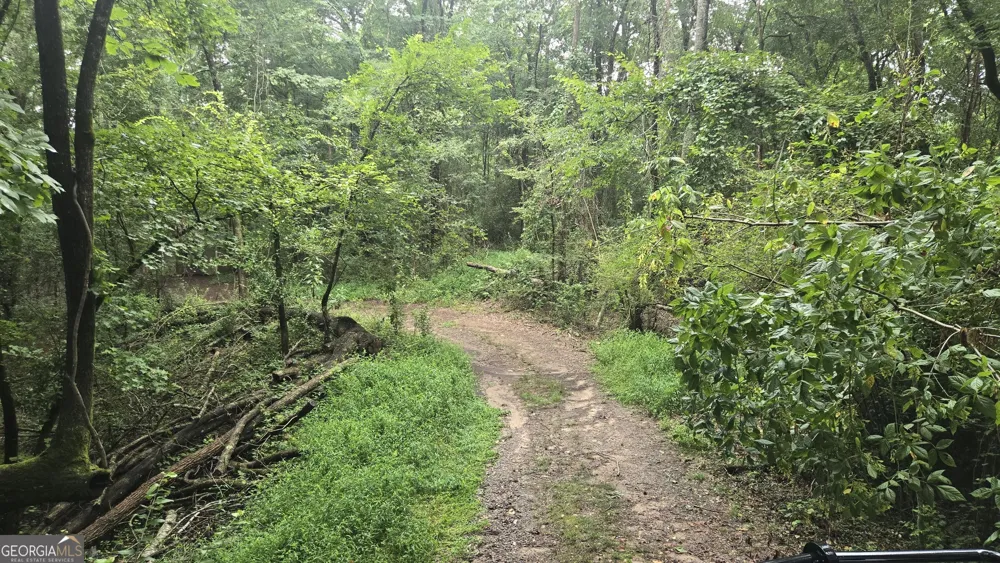 3065 Smokey RD Athens, GA 30601