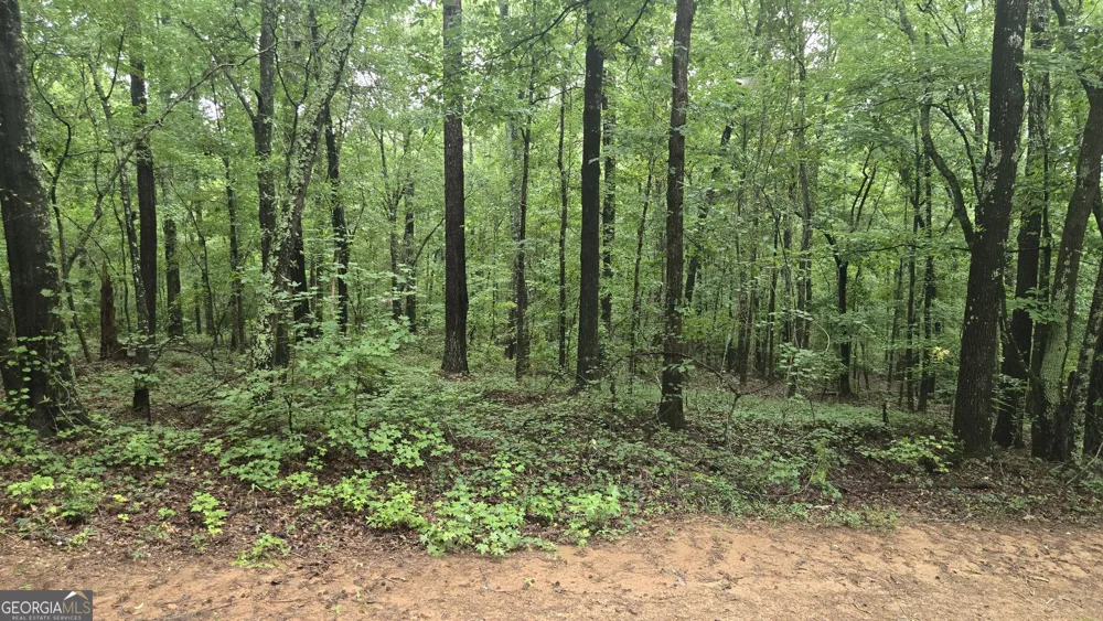 3065 Smokey RD Athens, GA 30601