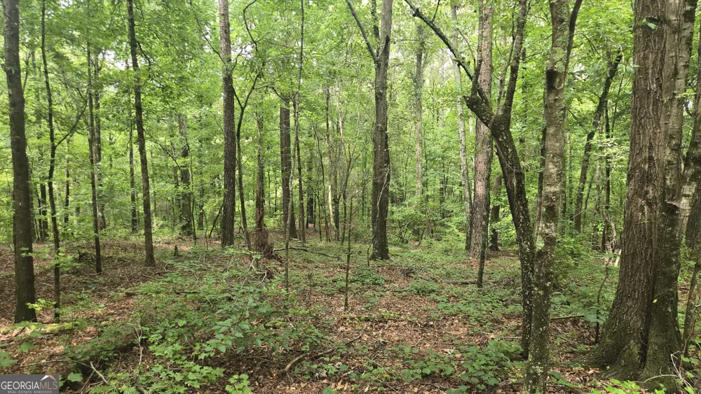 3065 Smokey RD Athens, GA 30601