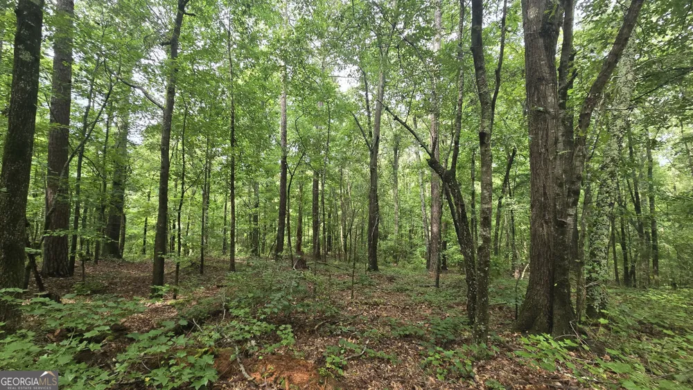 3065 Smokey RD Athens, GA 30601