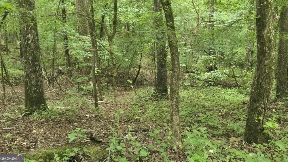 3065 Smokey RD Athens, GA 30601