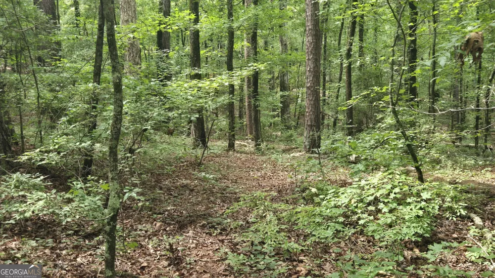 3065 Smokey RD Athens, GA 30601