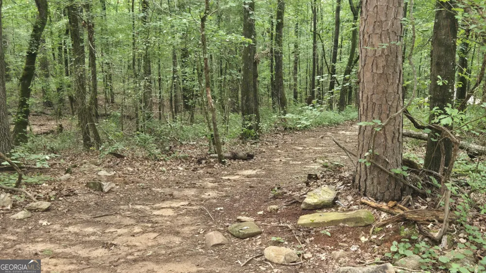 3065 Smokey RD Athens, GA 30601