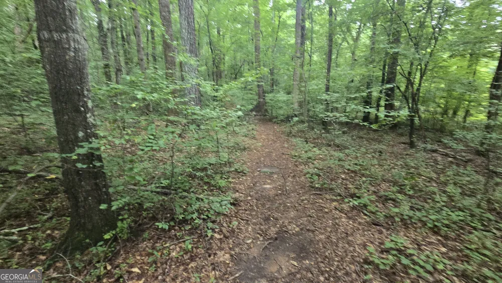 3065 Smokey RD Athens, GA 30601