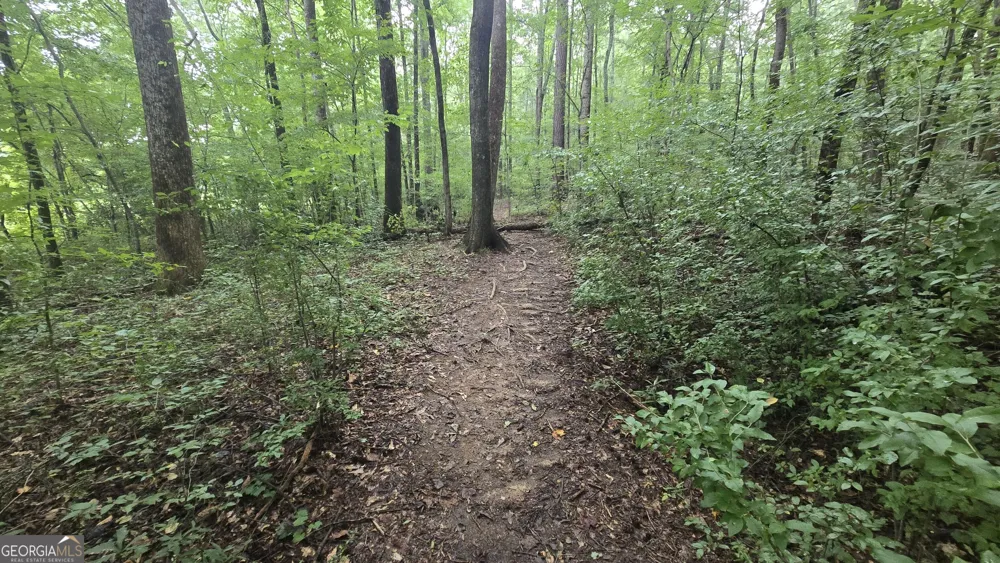 3065 Smokey RD Athens, GA 30601