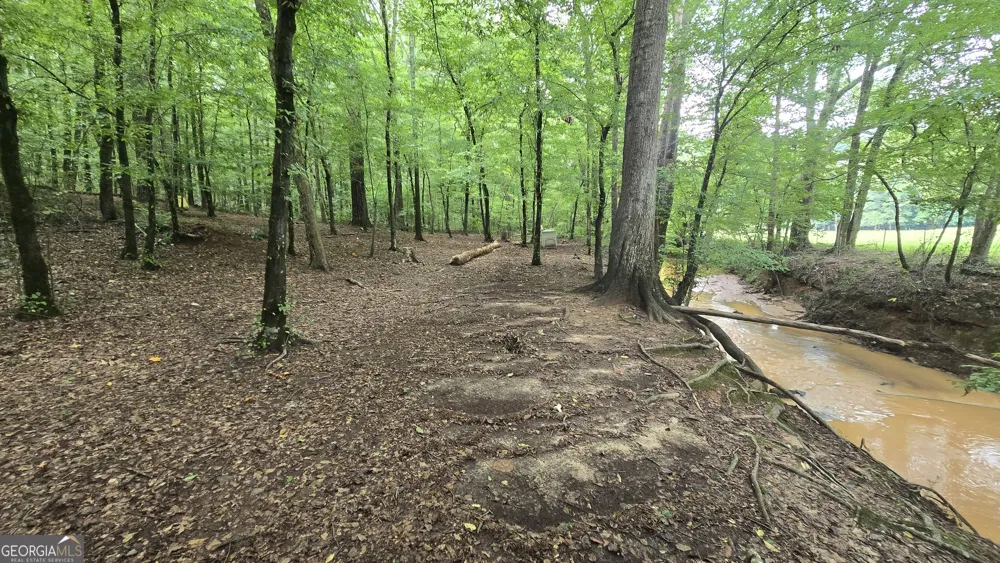 3065 Smokey RD Athens, GA 30601