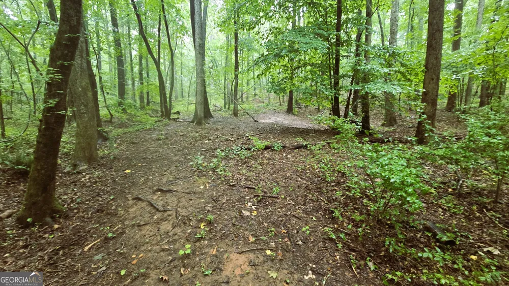 3065 Smokey RD Athens, GA 30601