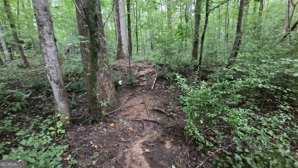 3065 Smokey RD Athens, GA 30601