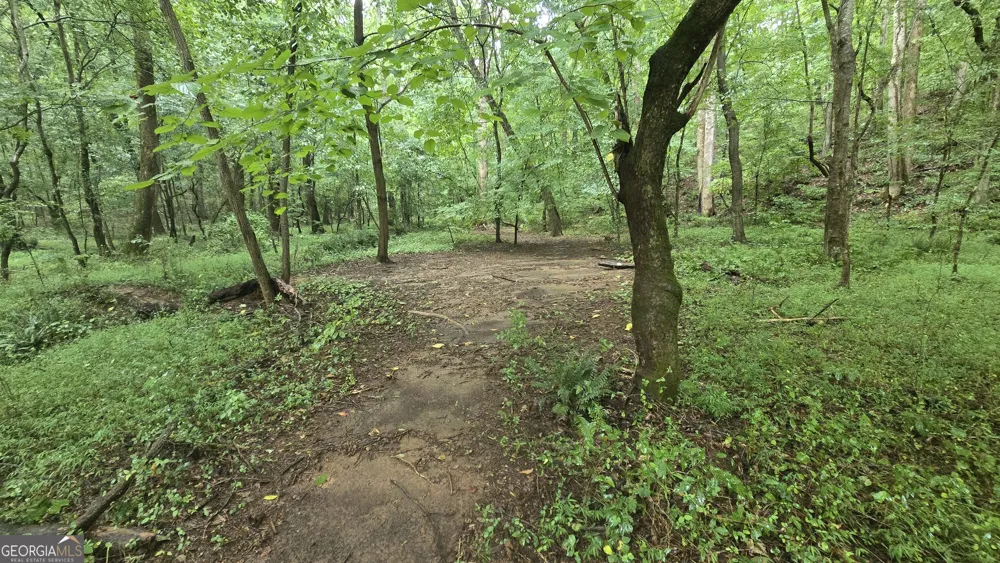 3065 Smokey RD Athens, GA 30601