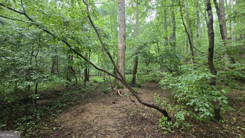 3065 Smokey RD Athens, GA 30601