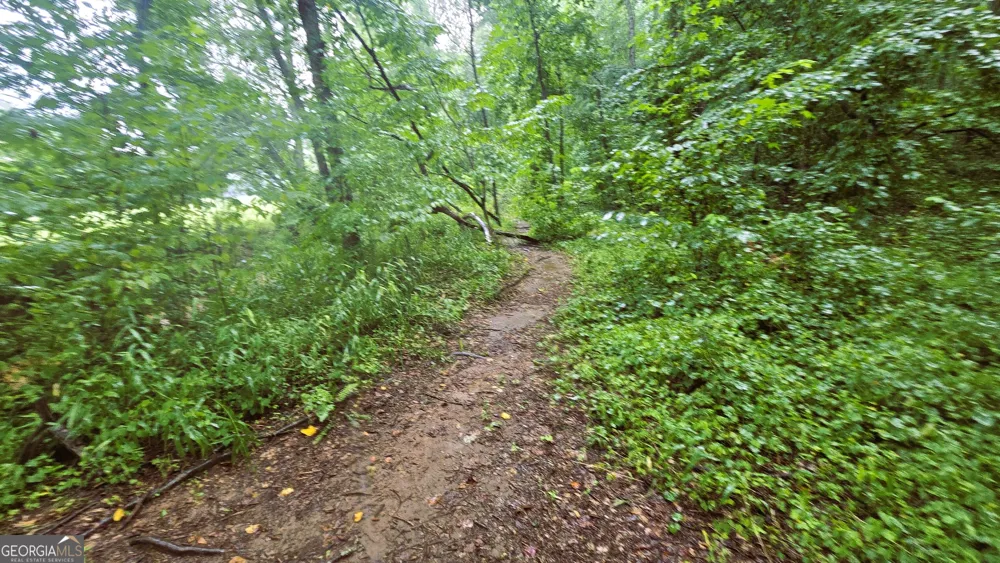 3065 Smokey RD Athens, GA 30601