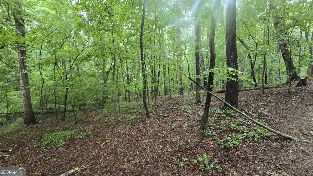 3065 Smokey RD Athens, GA 30601