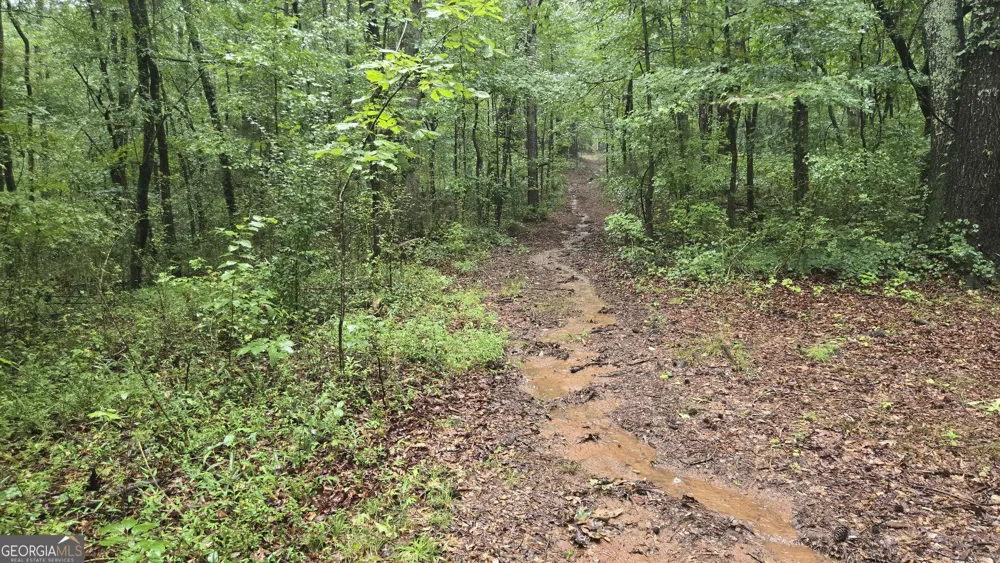 3065 Smokey RD Athens, GA 30601
