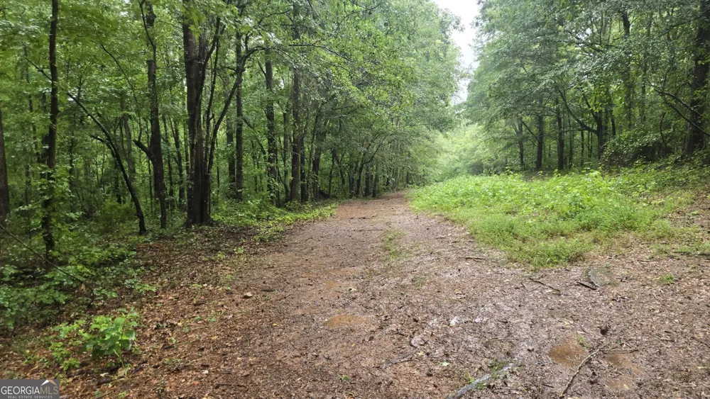 3065 Smokey RD Athens, GA 30601