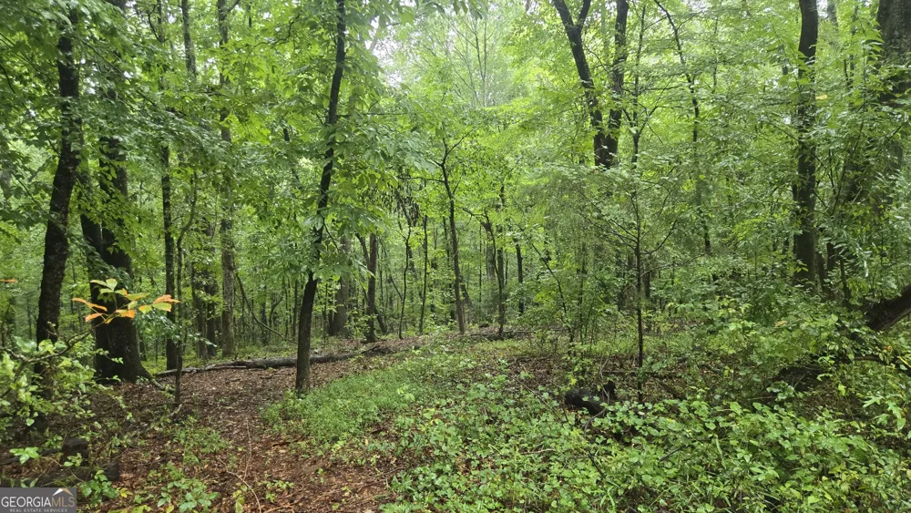 3065 Smokey RD Athens, GA 30601