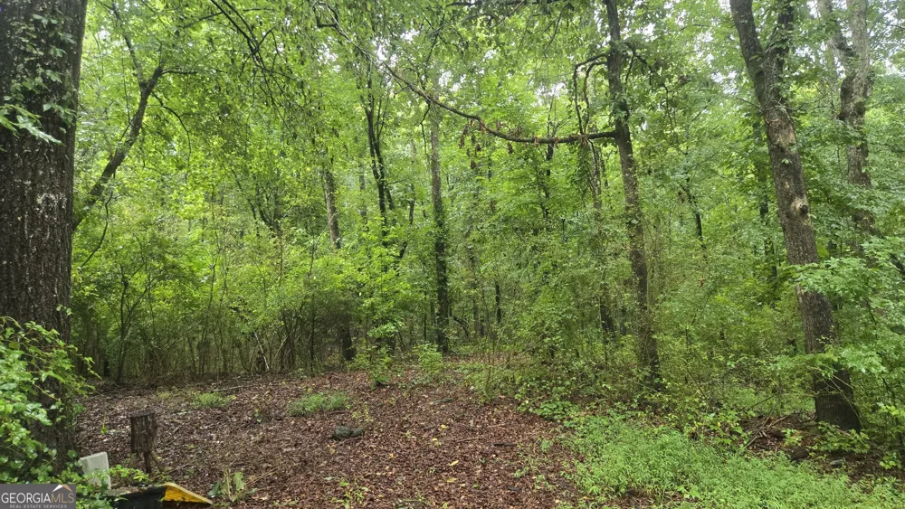 3065 Smokey RD Athens, GA 30601