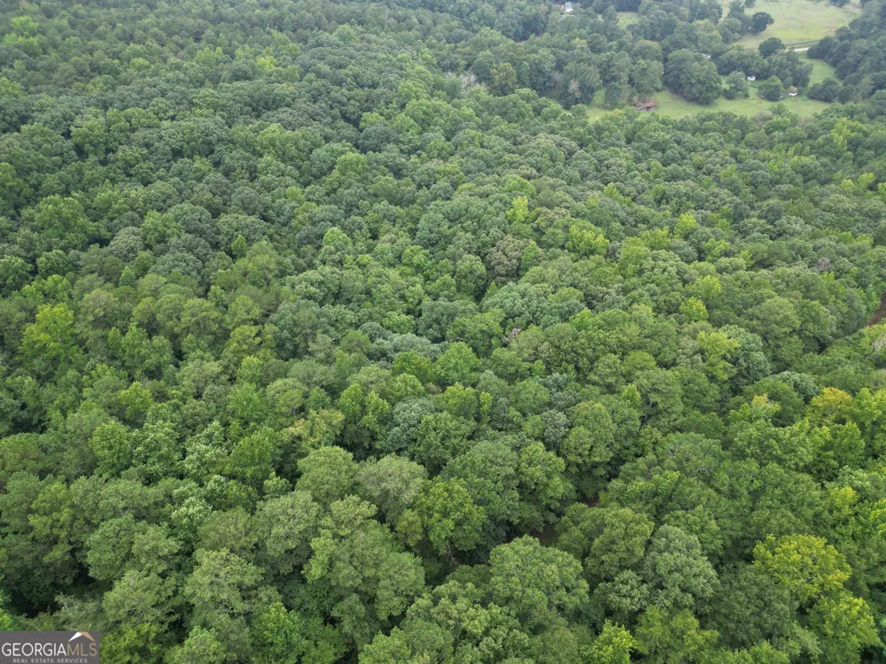 3065 Smokey RD Athens, GA 30601