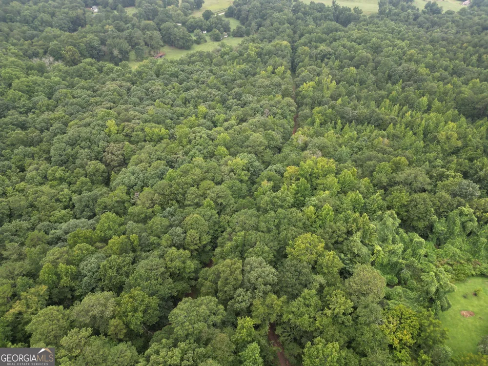 3065 Smokey RD Athens, GA 30601