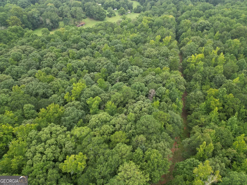 3065 Smokey RD Athens, GA 30601
