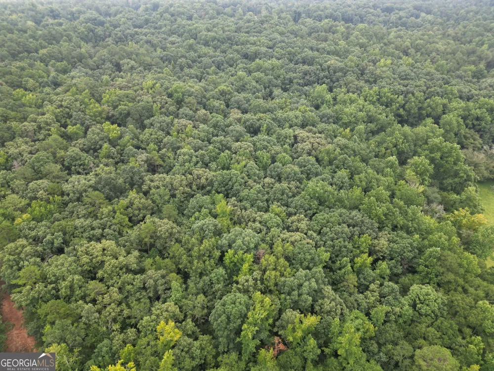 3065 Smokey RD Athens, GA 30601