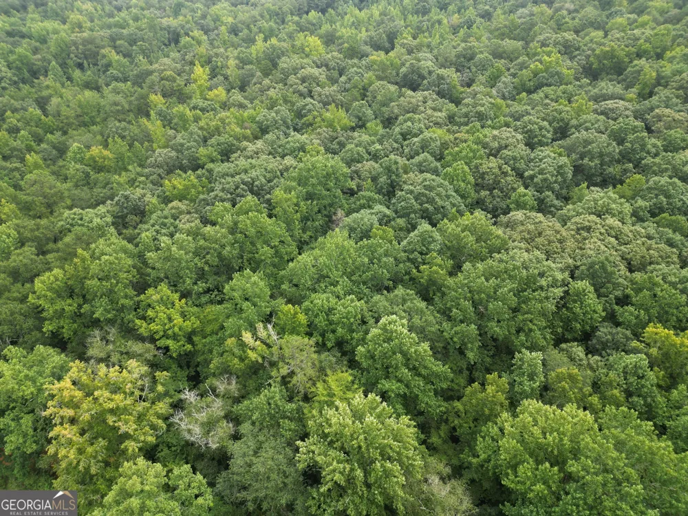 3065 Smokey RD Athens, GA 30601
