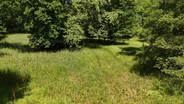 201 Post Rd Waverly, TN 37185