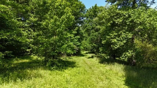 201 Post Rd Waverly, TN 37185