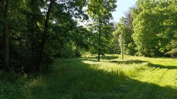 201 Post Rd Waverly, TN 37185