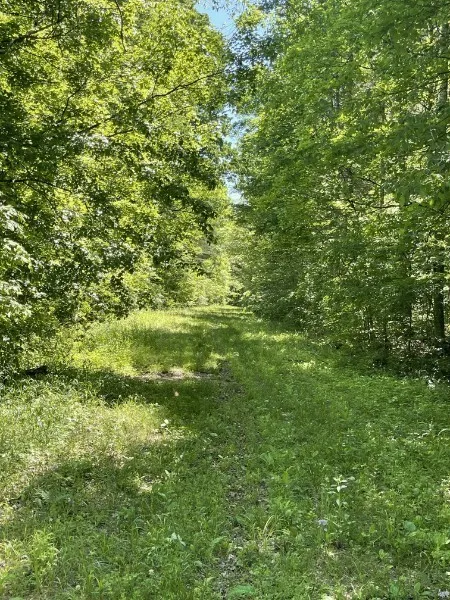 201 Post Rd Waverly, TN 37185