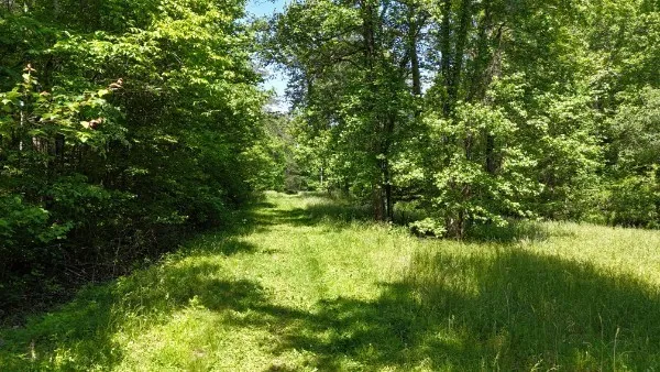 201 Post Rd Waverly, TN 37185