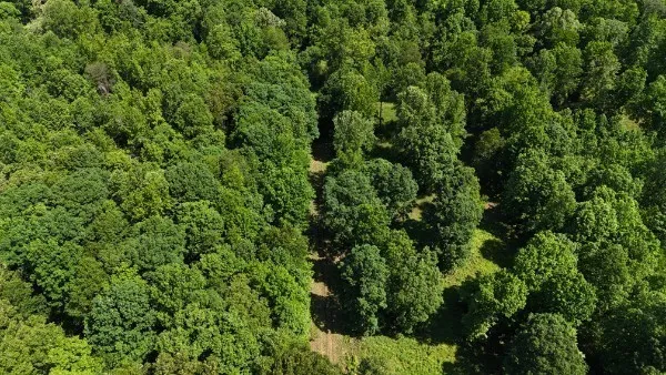 201 Post Rd Waverly, TN 37185