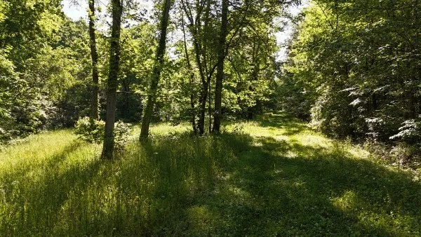 201 Post Rd Waverly, TN 37185