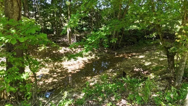 201 Post Rd Waverly, TN 37185