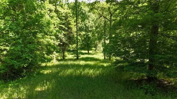 201 Post Rd Waverly, TN 37185