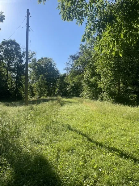 201 Post Rd Waverly, TN 37185