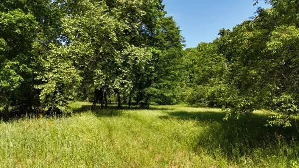 201 Post Rd Waverly, TN 37185