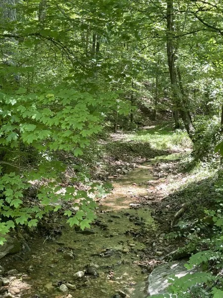 201 Post Rd Waverly, TN 37185