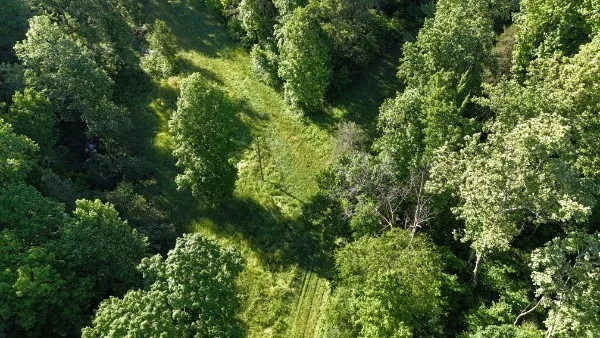 201 Post Rd Waverly, TN 37185