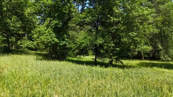 201 Post Rd Waverly, TN 37185