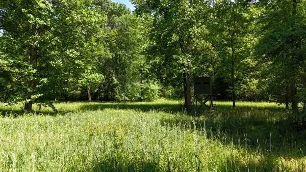 201 Post Rd Waverly, TN 37185