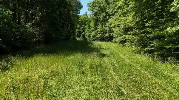 201 Post Rd Waverly, TN 37185